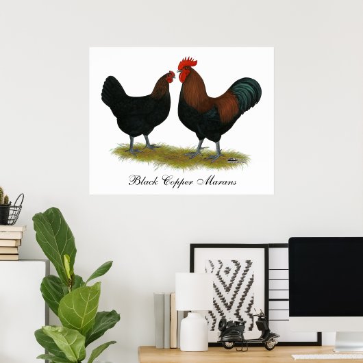 Marans Black Copper Poster (Thuiskantoor)