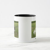 Marans Chicken Mok (Midden)