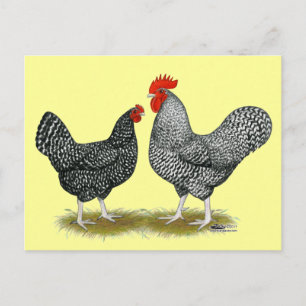 Marans: Cuckoo Pair Briefkaart