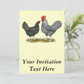 Marans: Cuckoo Pair Kaart (Staand voorkant)