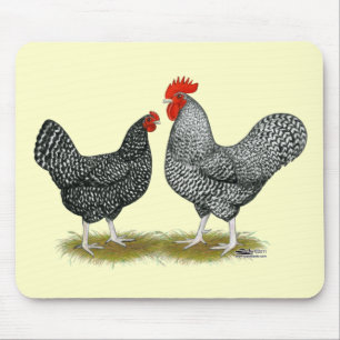 Marans: Cuckoo Pair Muismat