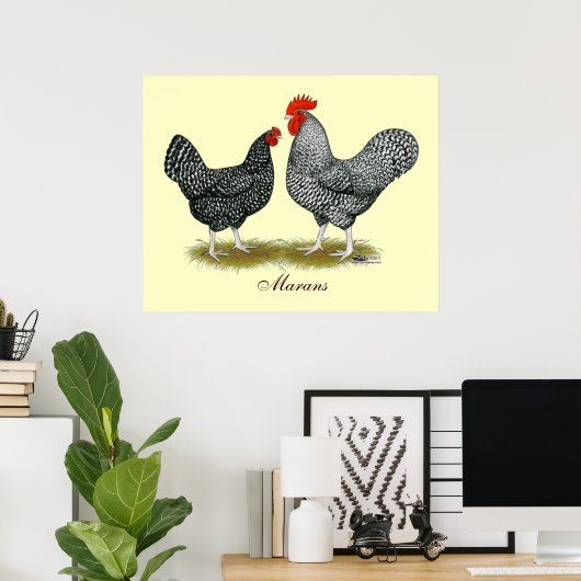Marans: Cuckoo Pair Poster (Thuiskantoor)