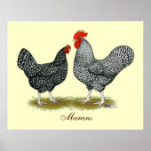 Marans: Cuckoo Pair Poster (Voorkant)