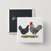 Marans: Cuckoo Pair Vierkante Button 5,1 Cm (Voorkant /achterkant)