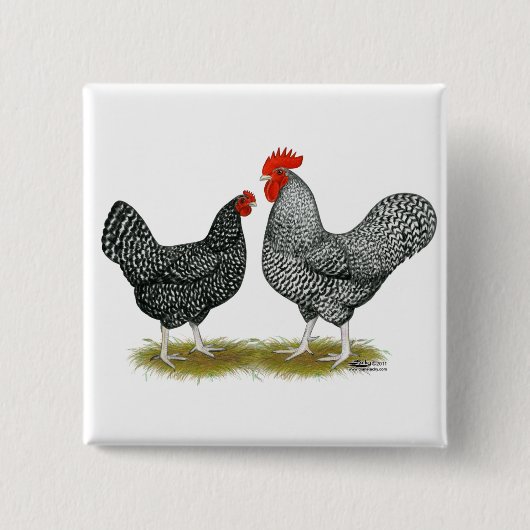 Marans: Cuckoo Pair Vierkante Button 5,1 Cm (Voorkant)