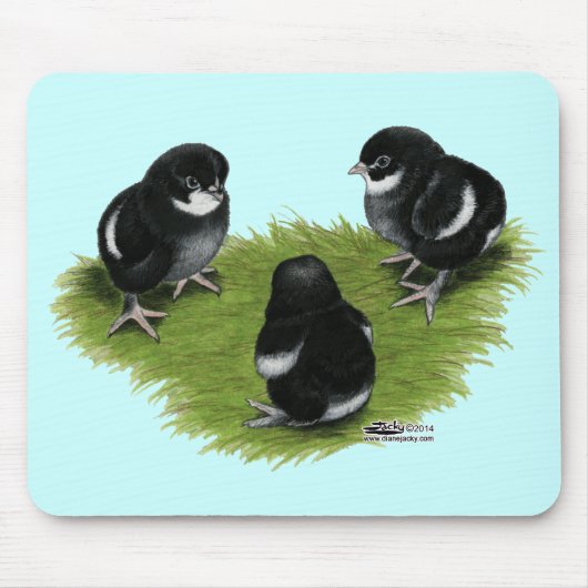 Marans Zwarte Koperen Kuikens Muismat (Voorkant)
