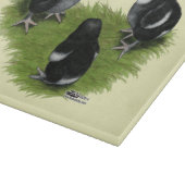 Marans Zwarte Koperen Kuikens Snijplank (Hoek)