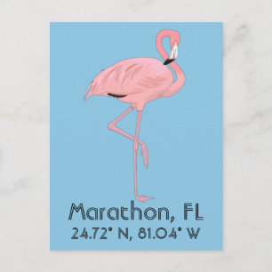 Marathon FL Keys Flamingo Breedtegraad Lengtegraad Briefkaart