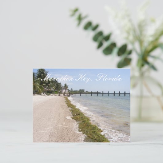 Marathon Key, Florida Briefkaart (Staand voorkant)