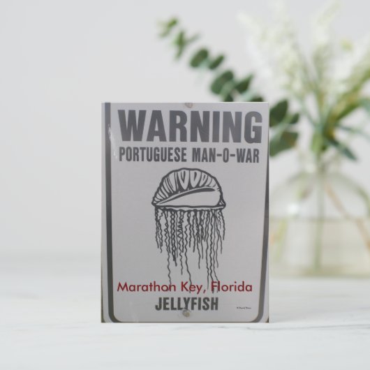 Marathon Key, Florida Briefkaart (Staand voorkant)