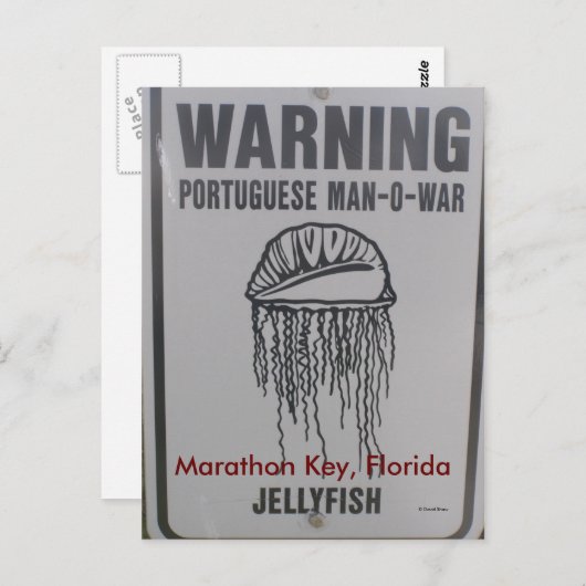 Marathon Key, Florida Briefkaart (Voorkant / Achterkant)