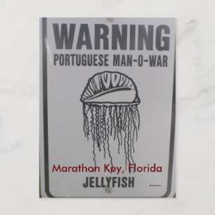 Marathon Key, Florida Briefkaart
