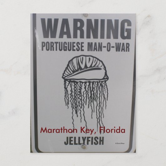 Marathon Key, Florida Briefkaart (Voorkant)