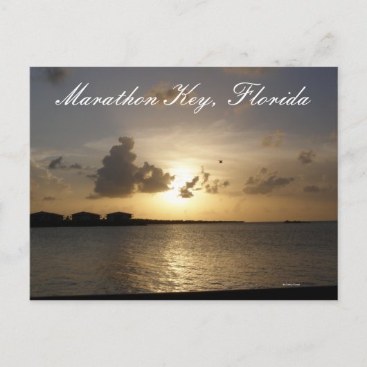 Marathon Key, Florida Briefkaart (Voorkant)