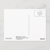 Marble Arch, Londen Briefkaart (Achterkant)