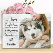 Marble Herembrance Keepomwille Pet Memorial Foto Fotoplaat