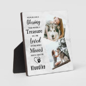 Marble Herembrance Pet Loss Keepomwille Pet Memori Fotoplaat (Voorkant)