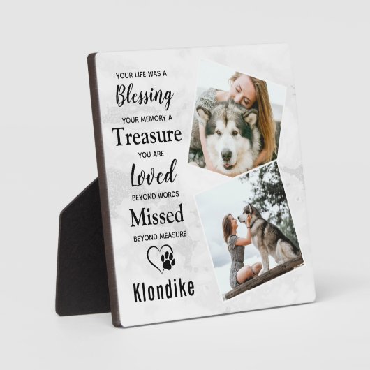 Marble Herembrance Pet Loss Keepomwille Pet Memori Fotoplaat (Voorkant)