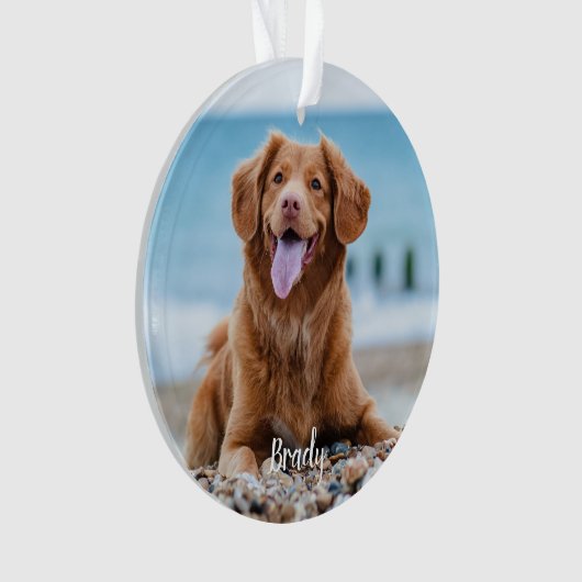 Marble Herembrance Quote Dog Foto Pet Memorial Ornament (voorkant)