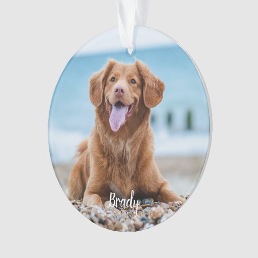 Marble Herembrance Quote Dog Foto Pet Memorial Ornament (voorkant)