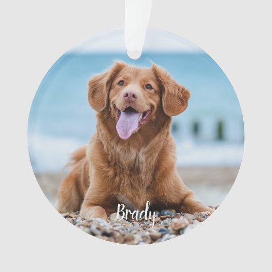 Marble Herembrance Quote Dog Foto Pet Memorial Ornament (voorkant)