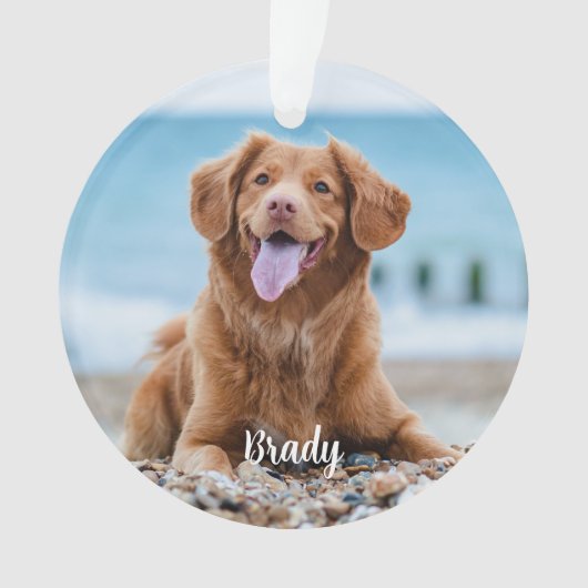 Marble Herembrance Quote Dog Foto Pet Memorial Ornament (voorkant)