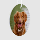 Marble Herembrance Quote Dog Foto Pet Memorial Ornament (voorkant)