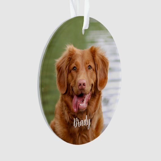 Marble Herembrance Quote Dog Foto Pet Memorial Ornament (voorkant)