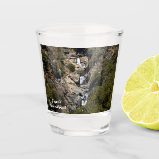 Marble Herfsten Sequoia National Park Shot Glass Shot Glas (Voorkant)