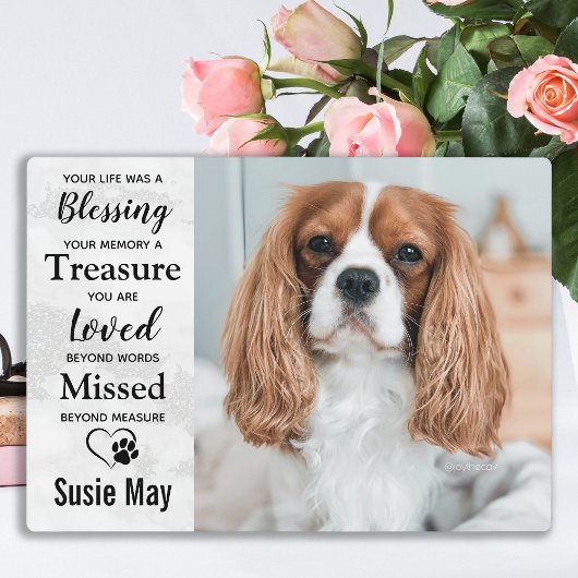 Marble Pet Loss Keepaardse Pet Memorial Foto Fotoplaat