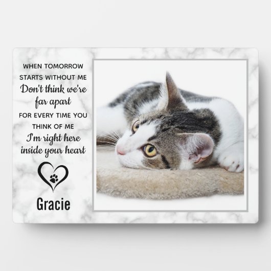 Marble Pet Loss Keepomwille Cat Memorial Fotoplaat (voorkant)