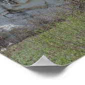 Marble Rock Wall aan Natural Bridge #2 Natuur Poster (Hoek)