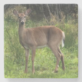 Marble Stone Deer Onderzetter (Voorkant)