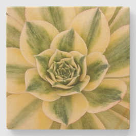 Marble Succulishus Onderzetter