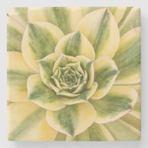 Marble Succulishus Onderzetter