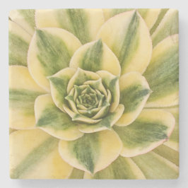 Marble Succulishus Onderzetter