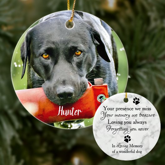 Marble Sympathpathy Quote Dog Foto Pet Memorial Keramisch Ornament
