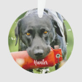 Marble Sympathpathy Quote Dog Foto Pet Memorial Ornament (voorkant)