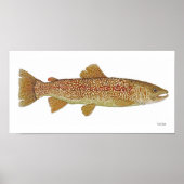 Marble Trout of Slovenia Art Poster (Voorkant)
