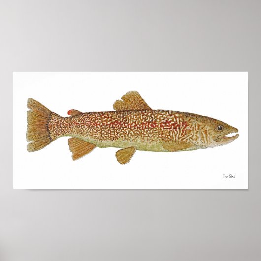 Marble Trout of Slovenia Art Poster (Voorkant)