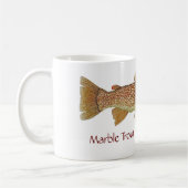 Marble Trout of the Julian Alps Mok (Links)
