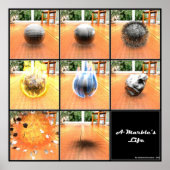 Marble's Life Poster (Voorkant)