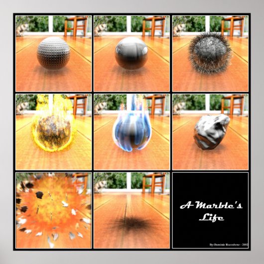 Marble's Life Poster (Voorkant)