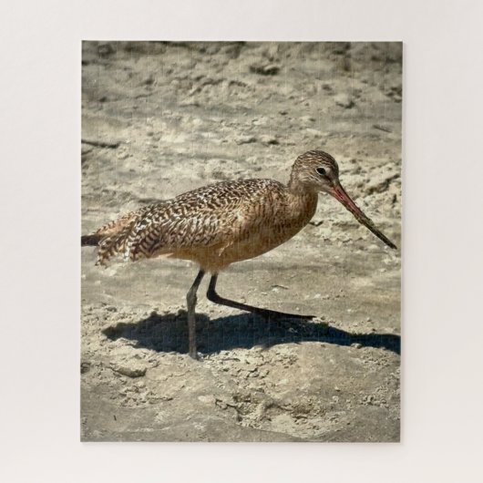 Marbling Godwit Legpuzzel (Verticaal)