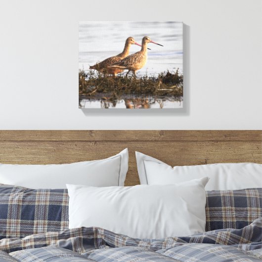 Marbling Godwits bij Blackie Spit Canvas Afdruk (Insitu (Slaapkamer))