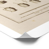 Marbling paper uit de "Encyclopedia" door Denis D Poster (Hoek)