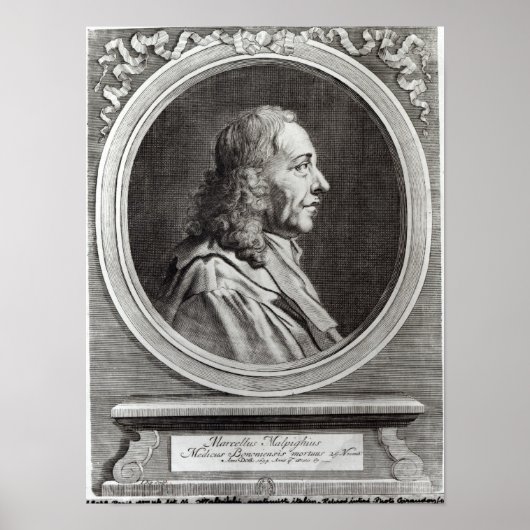 Marcello Malpighi, 67 jaar, 1694 Poster (Voorkant)