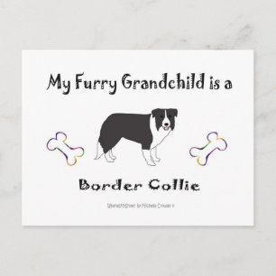 march112015BorderCollie.jpg Briefkaart