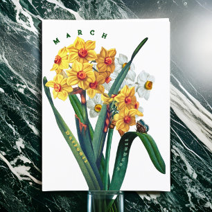 March Flowers Jonquil Daffodil Briefkaart