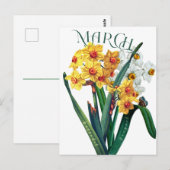 March Flowers Jonquil Daffodil Fancy Briefkaart (Voorkant / Achterkant)